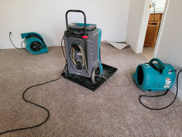 Best Water damage cleanup near me  in Palm Coast, FL