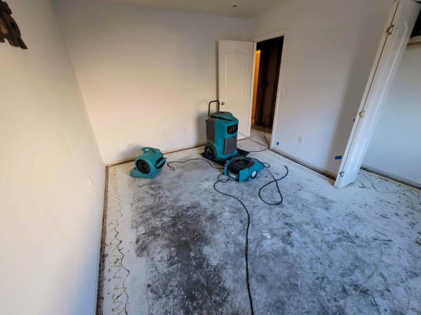 Best Commercial water damage restoration  in Palm Coast, FL