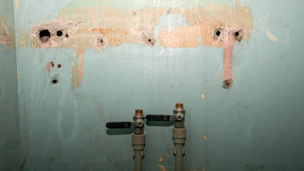 Best Professional water damage repair  in Palm Coast, FL