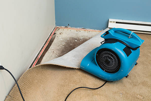 Best Water damage restoration cost  in Palm Coast, FL